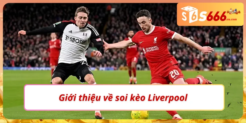 Thử thách đầy kích thích cùng soi kèo Liverpool