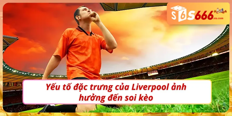 Soi kèo Liverpool như một bet thủ chuyên nghiệp