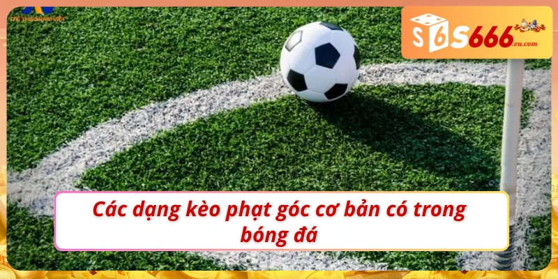 Soi Kèo Phạt Góc Bí Quyết Bắt Kèo Chuẩn Xác Tại S666 3 03 dạng kèo phạt góc cơ bản tại S666